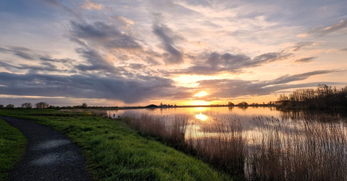 De vroege ochtendwandeling, met mijn beste wandelmaatje