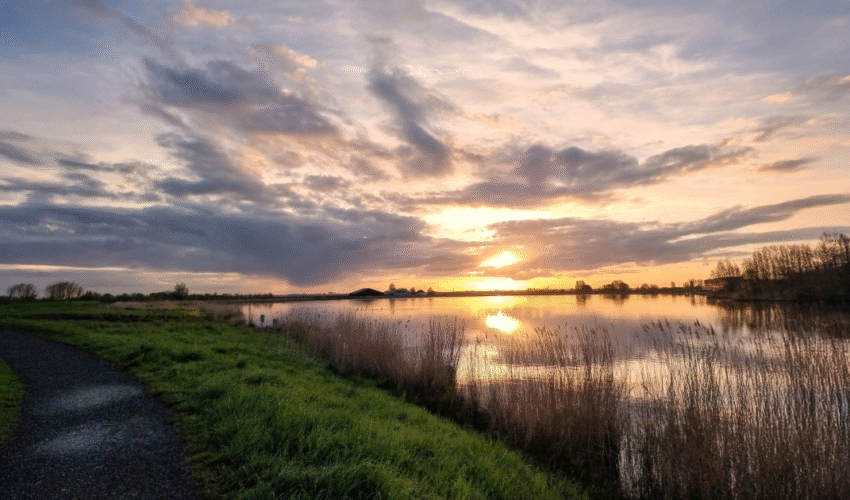 De vroege ochtendwandeling, met mijn beste wandelmaatje