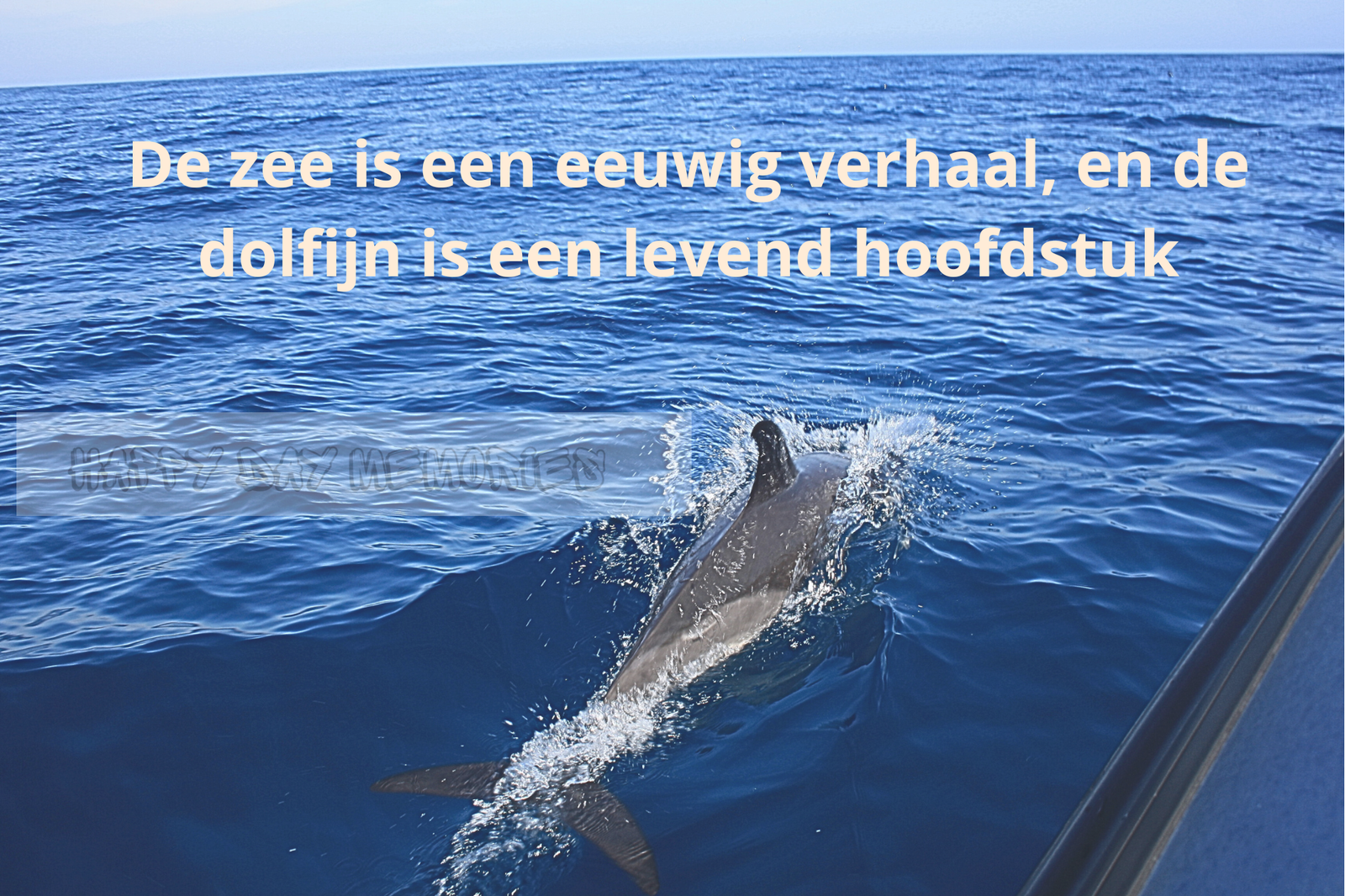 Quote, de Zee