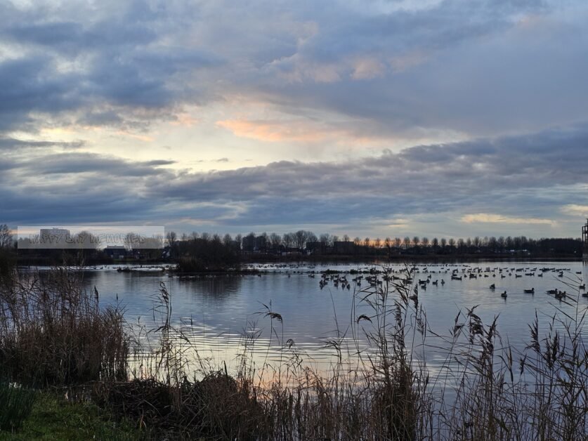 Nieuwe dag met zonsopkomst