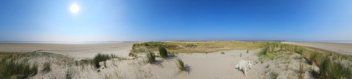 landschap Terschelling natuur