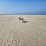 Avonturen en genieten – Terschelling