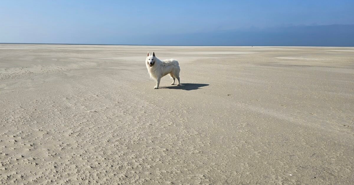 Avonturen en genieten – Terschelling