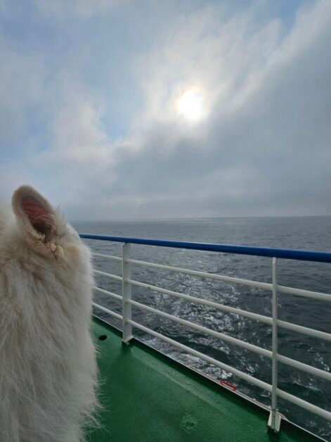 mist verdwijnt zon door de wolken