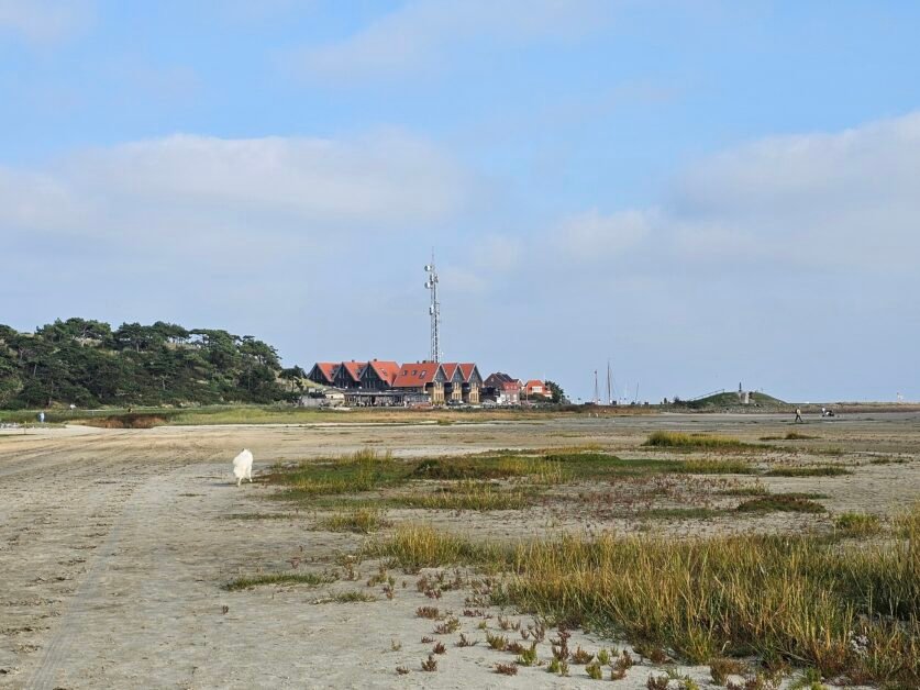 Terschelling (34)