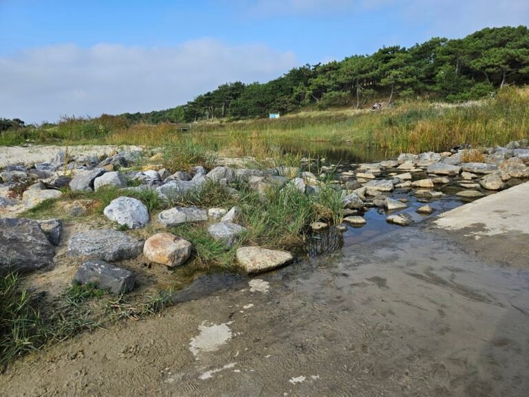 Terschelling 35