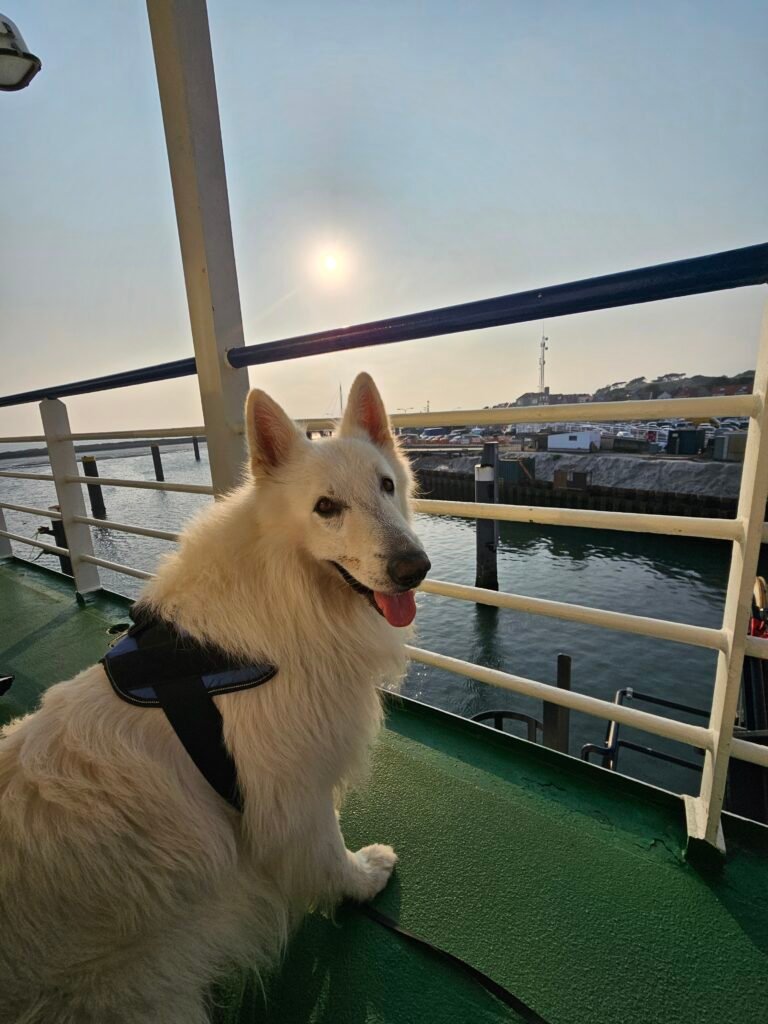 happydog boot zonsondergang