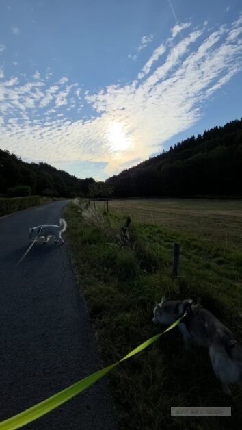 Duitsland Eifel autovakantie (