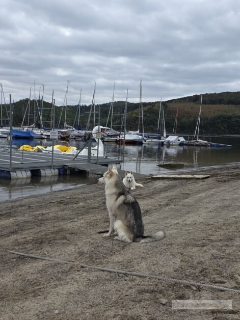 Duitsland Rursee (1)