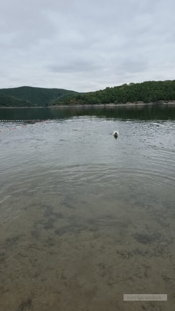 Duitsland Rursee (3)
