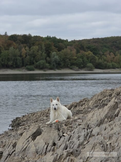 Duitsland Rursee (5)