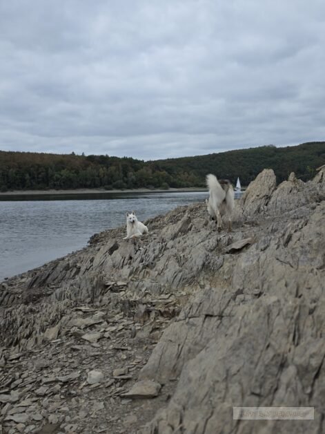 Duitsland Rursee (6)