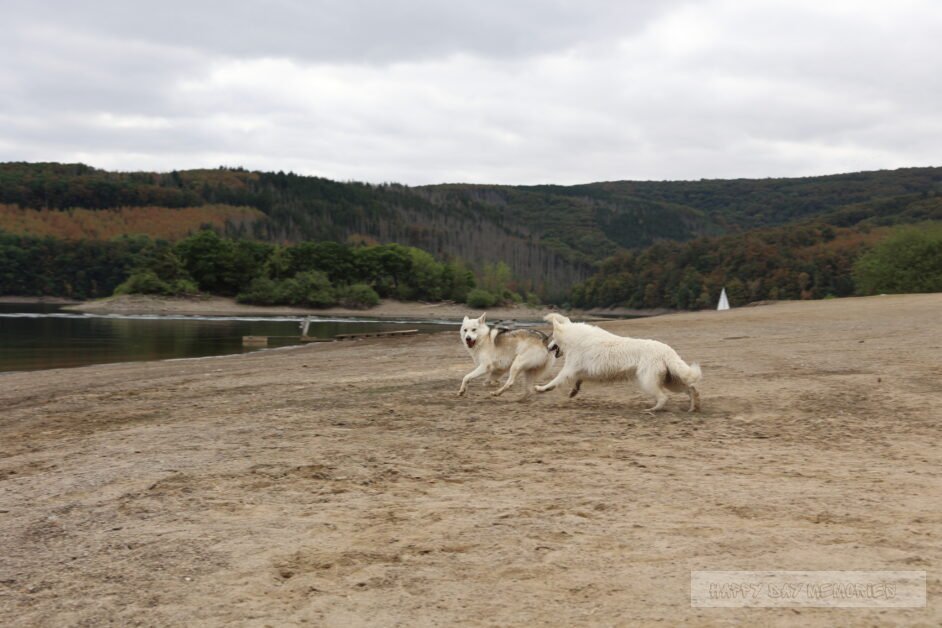 Duitsland - S en Y rennen op strand