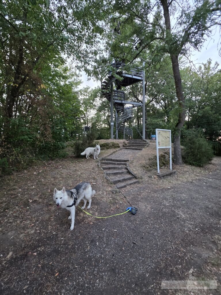 Duitsland eifel honden