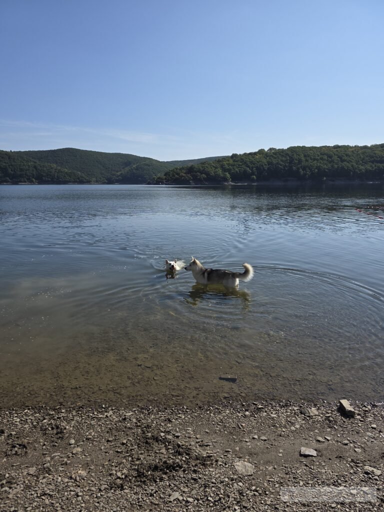 Duitsland rursee eifel