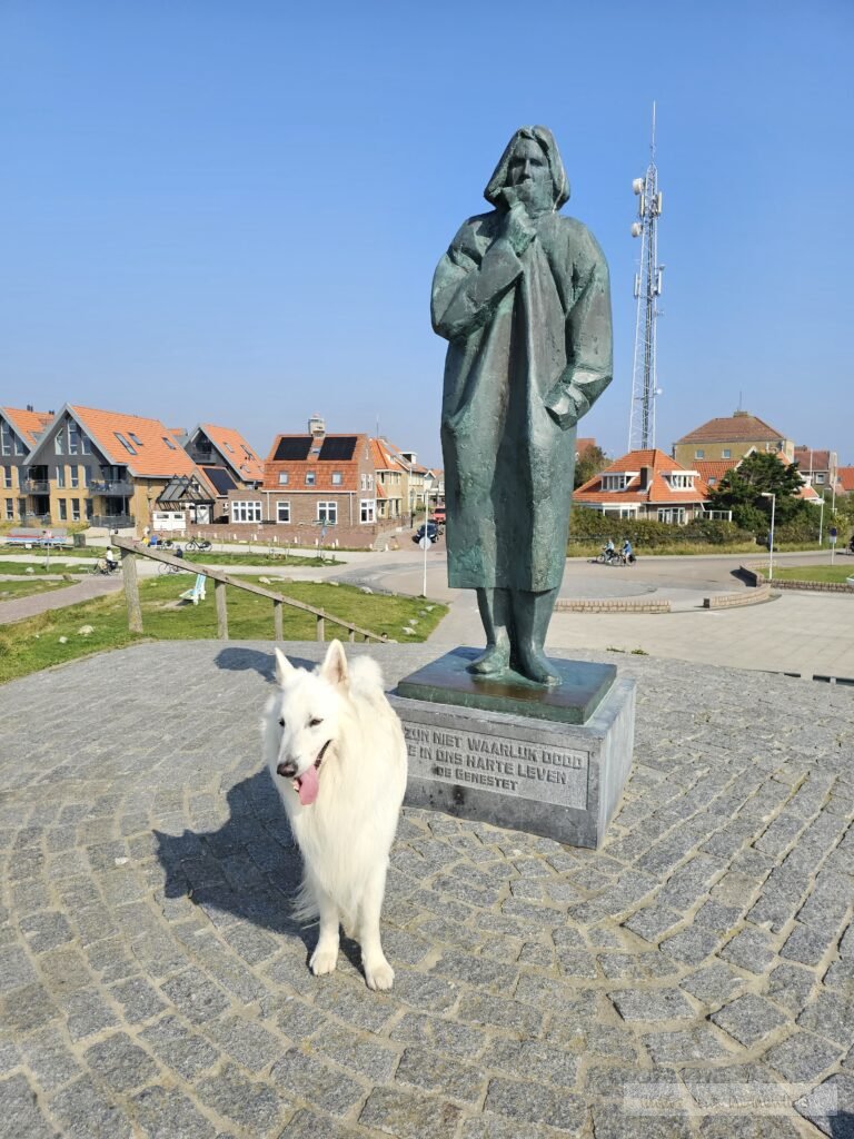 Terschelling info