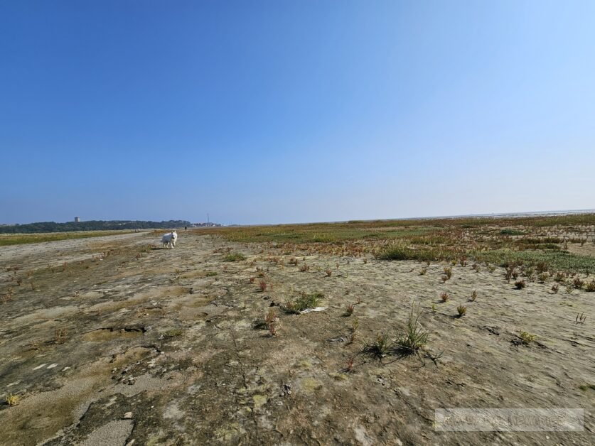 Terschelling vrijheid uitzicht