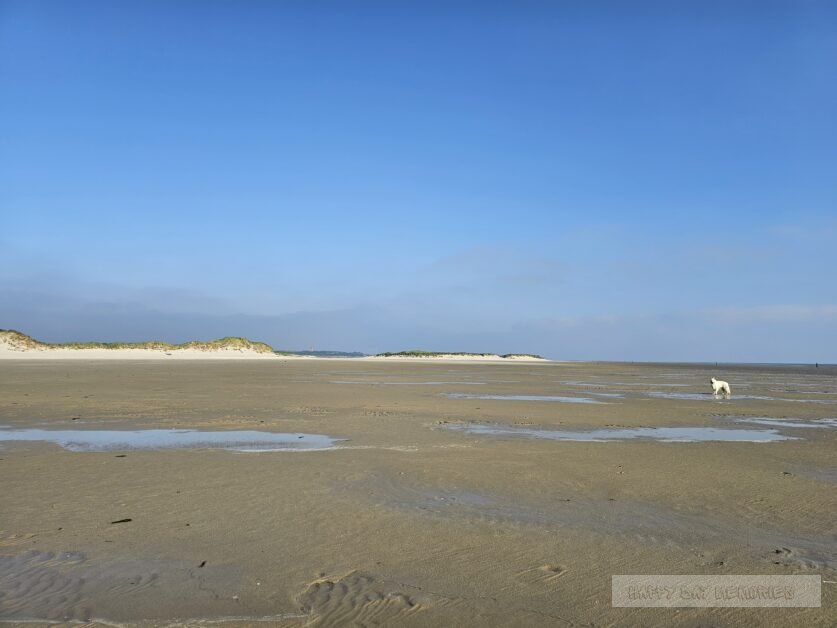 wandelen terschelling